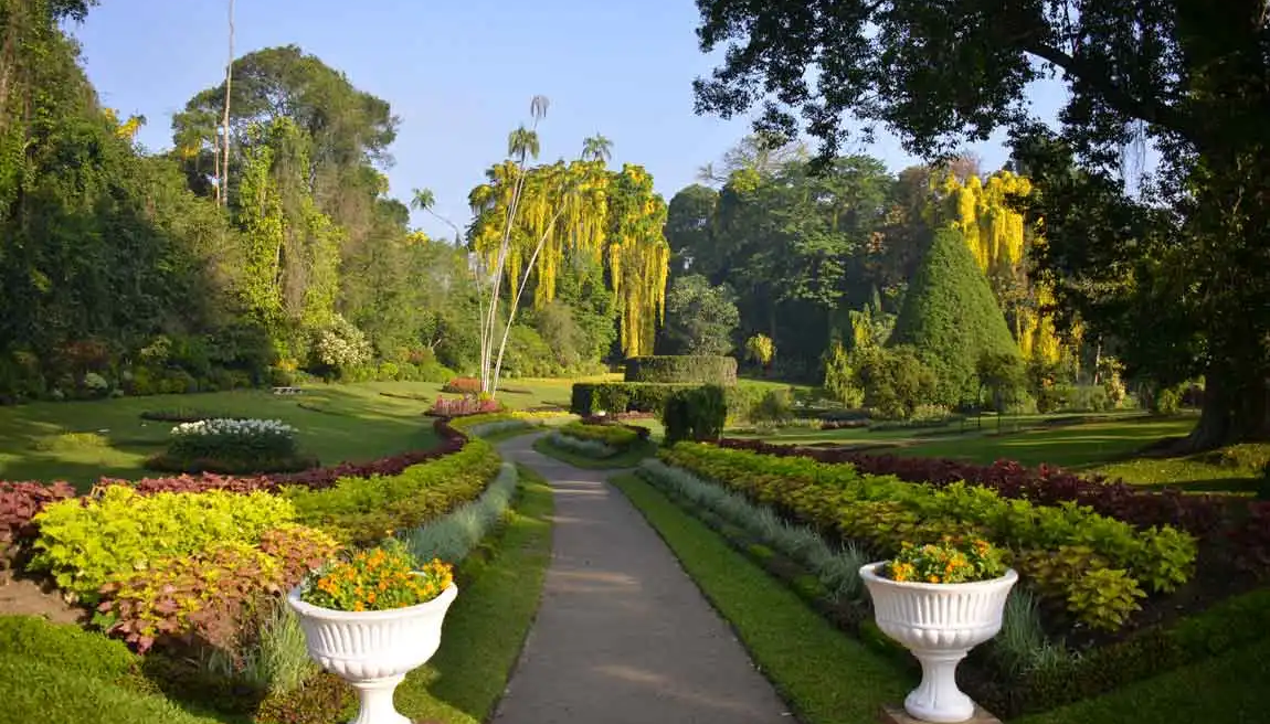 Peradeniya royal botanic garden