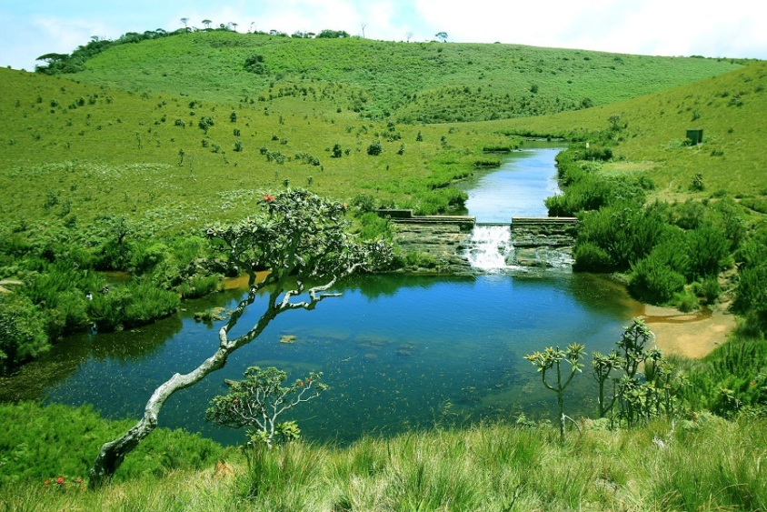 Horton-Plains National Park