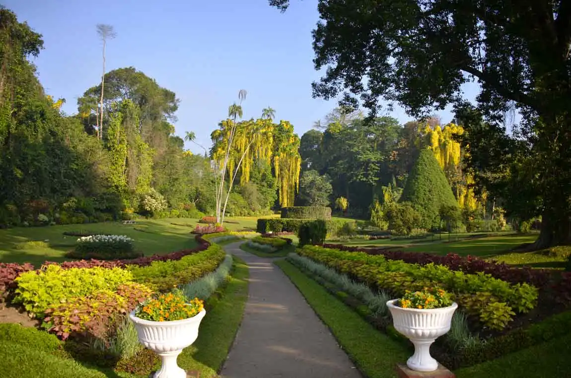 royal-botanical-garden-peradeniya